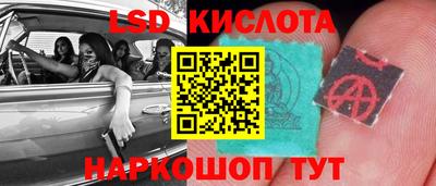 мяу мяу мука Ярославль