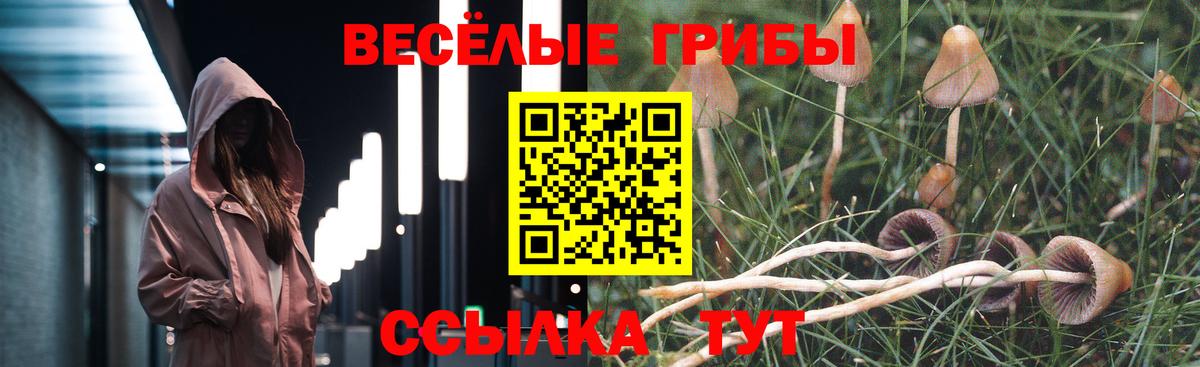 Псилоцибиновые грибы Magic Shrooms Знаменск